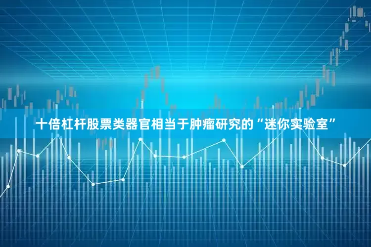 十倍杠杆股票类器官相当于肿瘤研究的“迷你实验室”