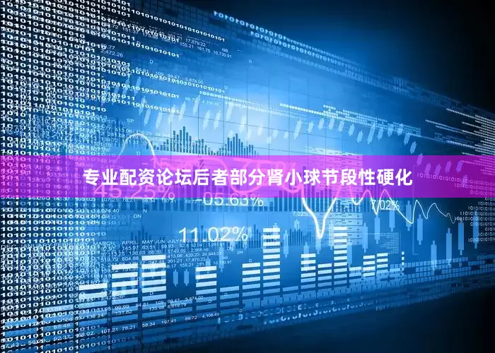 专业配资论坛后者部分肾小球节段性硬化